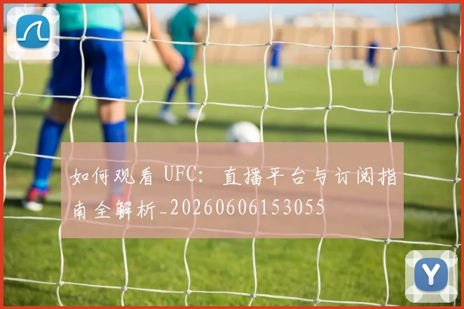如何观看 UFC：直播平台与订阅指南全解析_20260606153055
